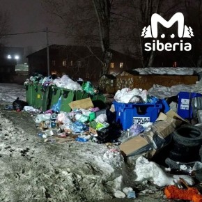 ����� ���������� �� ����� ������ � ������������