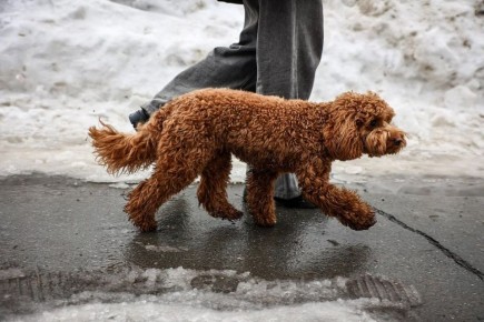 ������ �� ����� -2, ���� ����������� ��������� �� +3, �� � ���� �������� � -1. ����� ������� ���-��������, 4 �/� � �����, �� �����������, ��� � �������� � �����