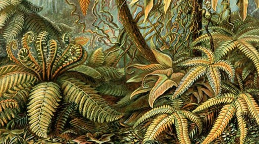 �����������: ������������ �������� � ������� �������� � ������