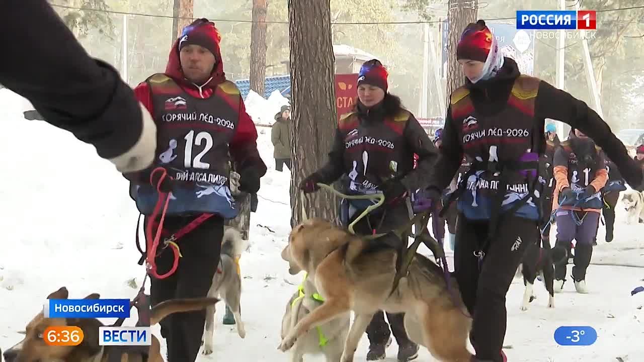 Командный турнир. В Новосибирске прошёл суточный марафон «Горячий лёд»