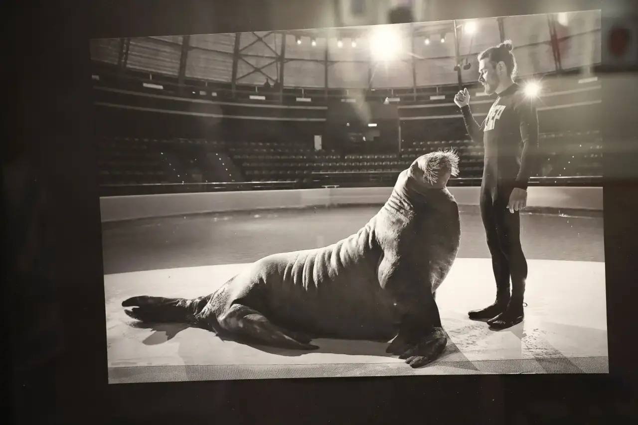 «Бюро параллельных миров» – выставка о современной фотографии Новосибирска открылась в ЦК19 «Бюро параллельных миров» – выставка о современной фотографии Новосибирска открылась в ЦК19