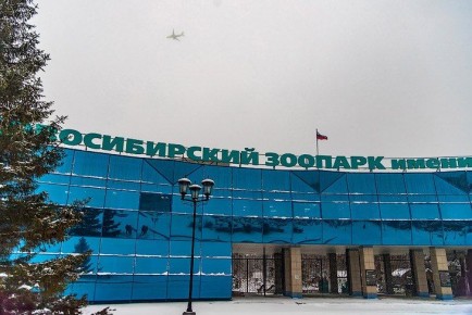 ������ ������ �������� � ������������ ������� � 30 �����