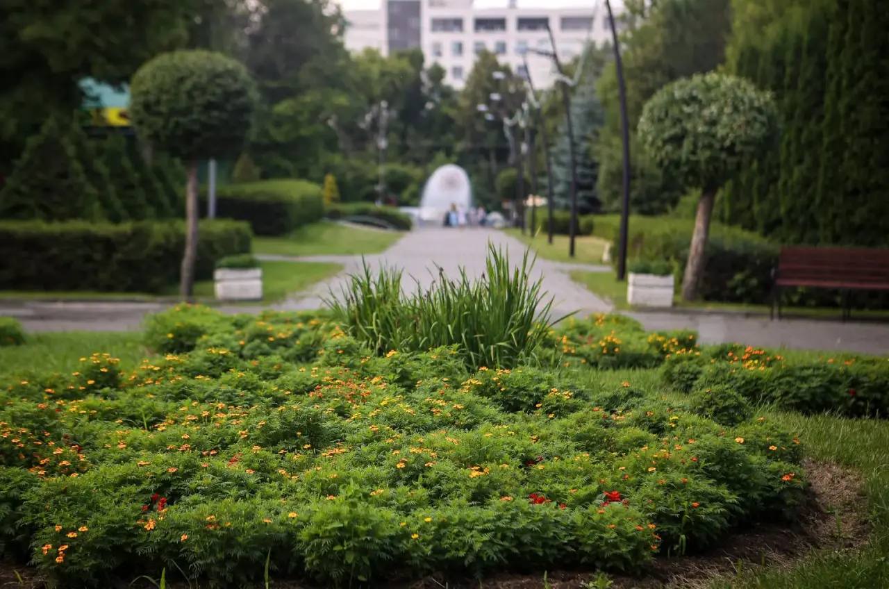 Максим Кудрявцев: В этом году завершим благоустройство парка имени Юрия Бугакова, с созданием спортивных и тематических площадок, велодорожек, озеленением, установкой освещения и новых входных зон