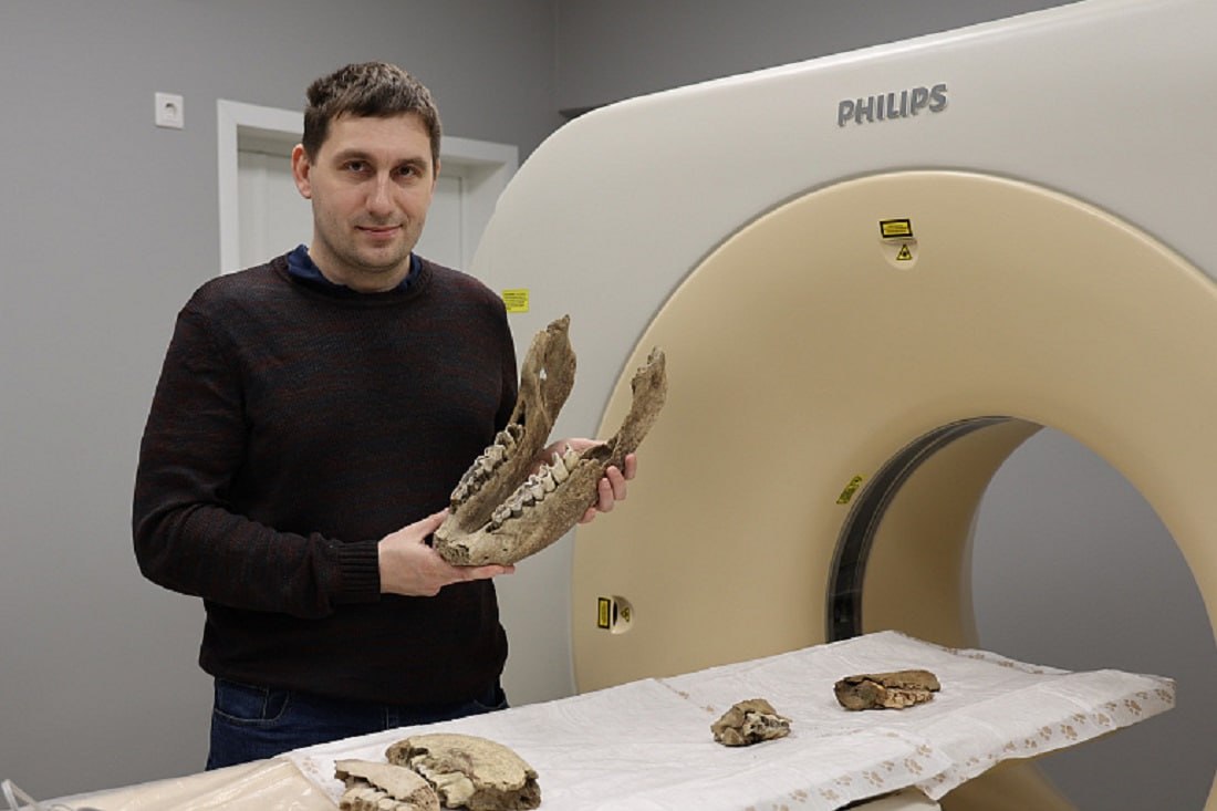 Челюсти древних носорогов исследовали на КТ в Новосибирске