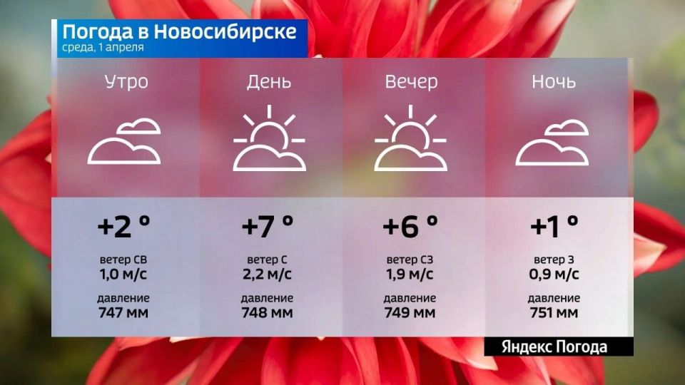 ������� ������ �� 1 ������ 2026 ���� � ������������� �������