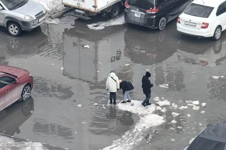 Тепло усилится в Новосибирске в день Дарьи Грязной 1 апреля