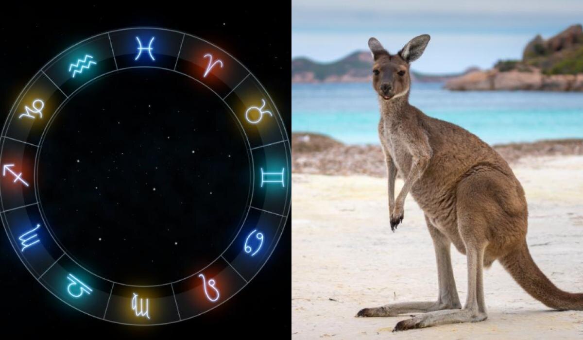 Какое дикое животное соответствует вашему знаку Зодиака?