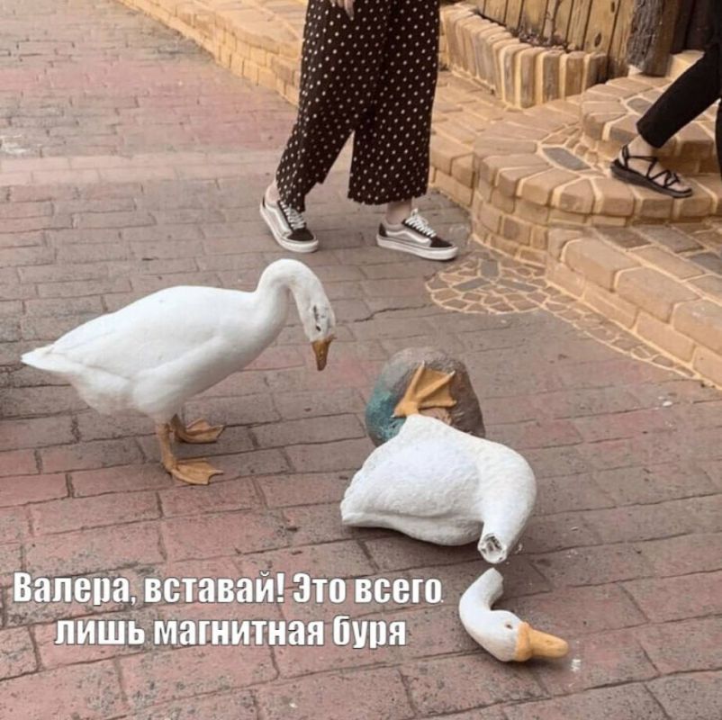 �� ����� ����������� ��������� ����