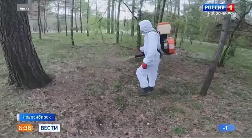 ����� ��� ������. � ������������� ������� ��������� � ������ ������: ���������� �� ��������� ����� 9 ����� �������� � ��� ��� 58 ����� ������� ����� �������-������! ����� ����������: ����� ������� ������ ������ � ����������...