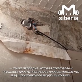 ����� �����, ����� ���������, ������ ��������� � � ����� �������� ����� ���� � ����������� ��� �� ��� �������������