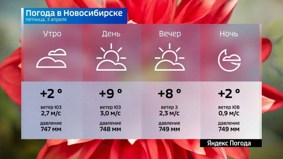 ������� ������ �� 3 ������ 2026 ���� � ������������� �������