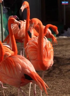 �������� ���������. ��������� ����� ������ � ������� ������������: ������� �������� �������� ������ ��������� � ������ ������ � ������ ����� � ����� ��������� ���