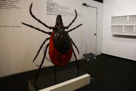 ����� ������������ ������ � ���� �������� � ������������