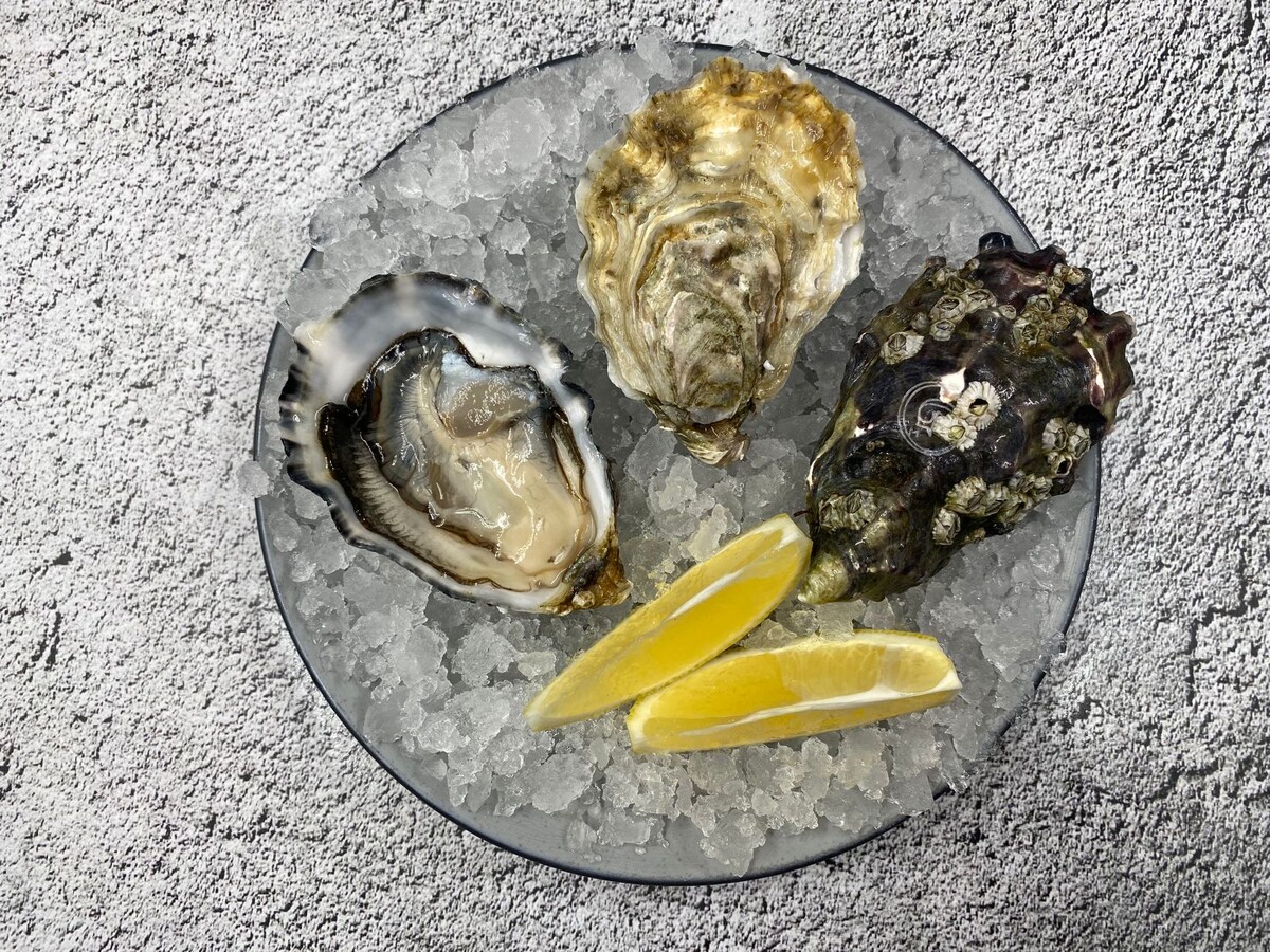 Устрашающая прелесть устриц Sp?ciale de Claire G