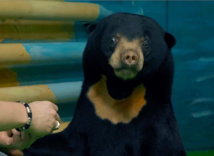 ���������� ������� ����� ������� � ������������� ��������