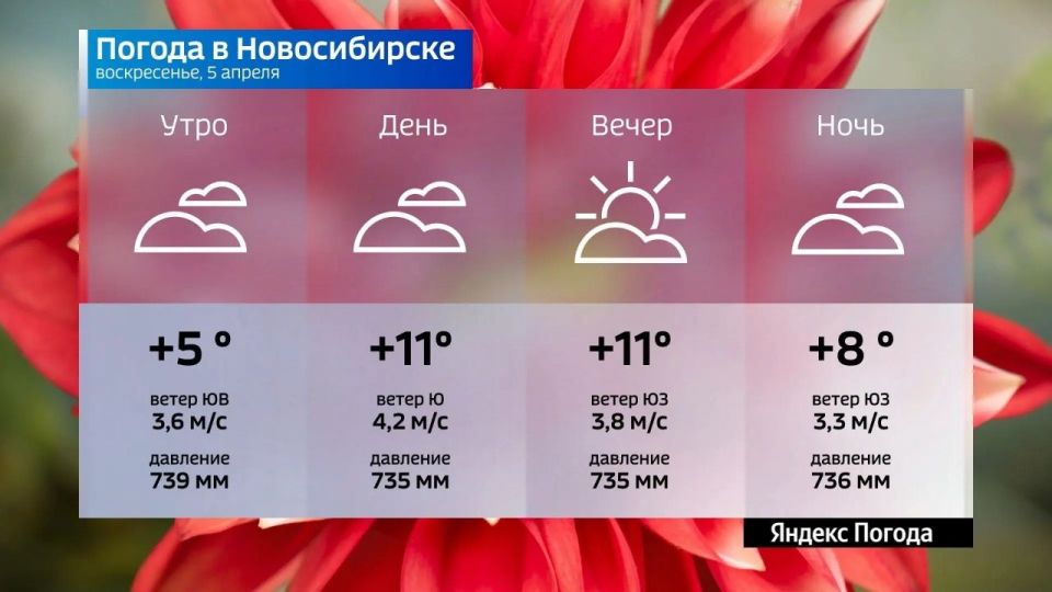 ������� ������ �� 5 ������ 2026 ���� � ������������� �������
