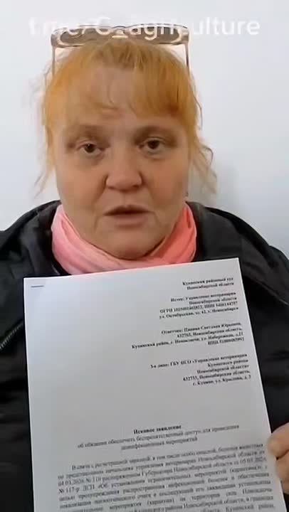 ������ ����������: ��������� � �������� ����� ����� � ������������� ������� ������������