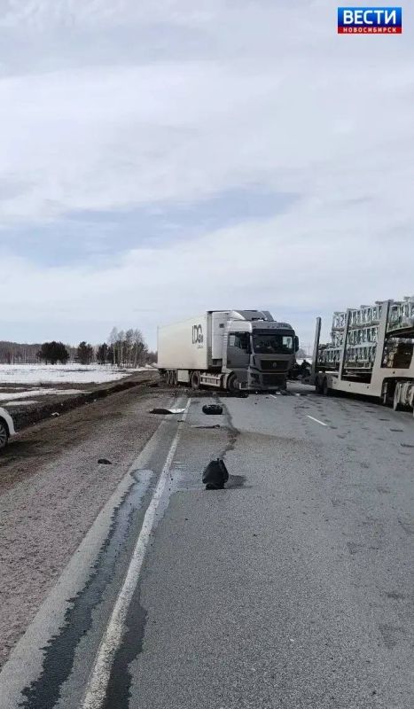 ����������� �����. � ������������ ������ ������������� ������� 5 ������ �� 137 ��������� ����������� ������ �-255 ��������� ��������� ���