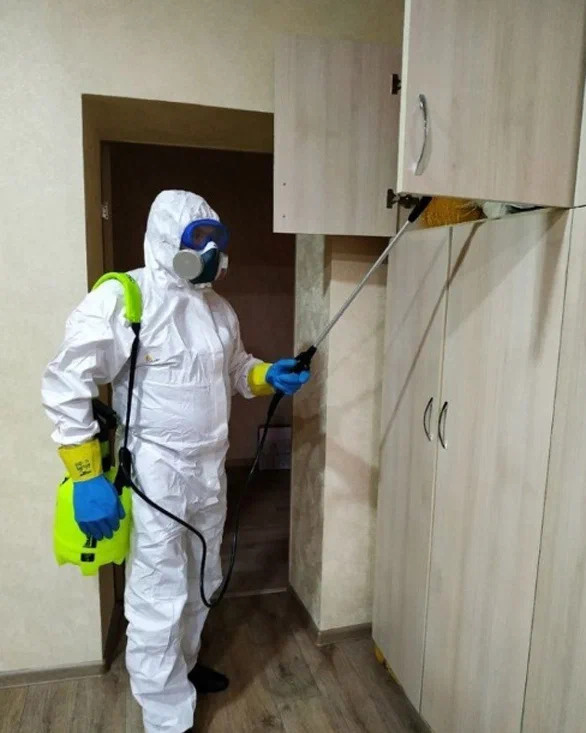 Как избавиться от неприятных запахов: советы профессионалов