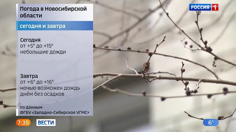 ���� �� �����. ������ ������ ������ � ������������ �������� � �������� ������