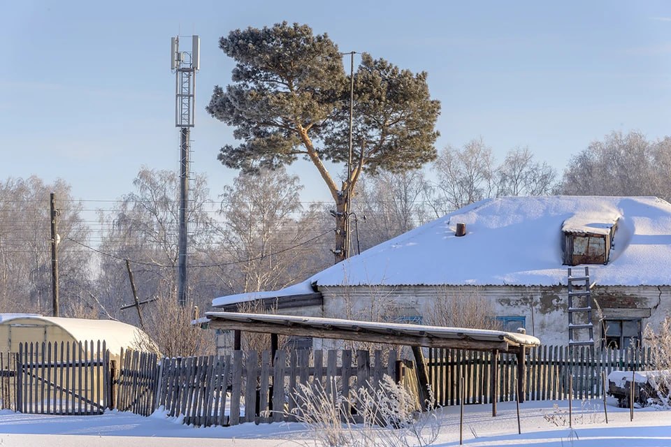 Связь поколений: благодаря интернету жительница Долгово видит, как растут ее внуки