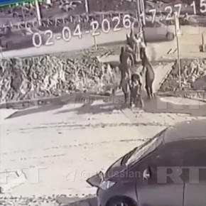 Две школьницы на электросамокате на полном ходу врезались в коляску с маленькой девочкой в Новосибирске