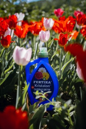 ��� ��������� ������������� ��������� �������� � �������� �����