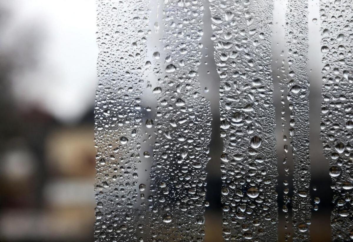 Эффективные способы борьбы с конденсатом: советы экспертов