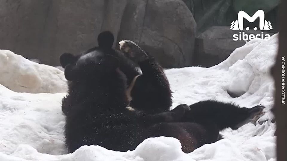 ����������� ����� ���� � ���� ������� � ������������� ��������