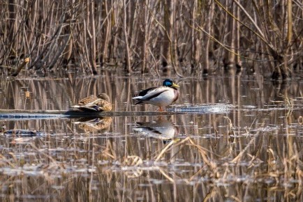 ������������ ������������ �� ��������� �������� ������ � ����� �����-2026