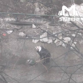 Пенсионерка сама чистит снег и лёд у дома в Новосибирске