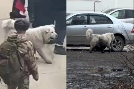 ��� ������������� ������ ����� �� ���� ��������