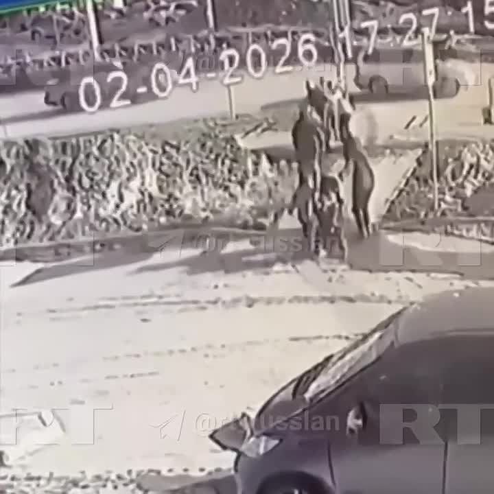 ��� ��������� �� ��������������� ��������� � ������� � �������� � ������������