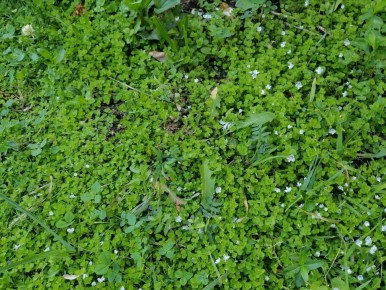 ��������: ������� � ��������������� �� ����� ������