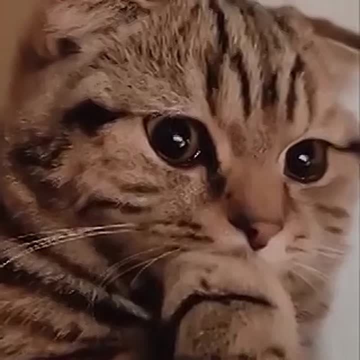 ����������� � ���� �������� � ������������� ������� � ����� ������� ������