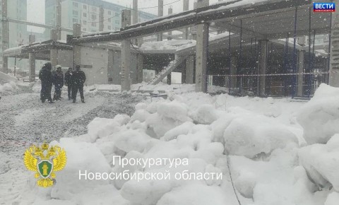 ������ �� �������. � ������������ ����� ����� ���������� ����������� ��������� ������������ �����������