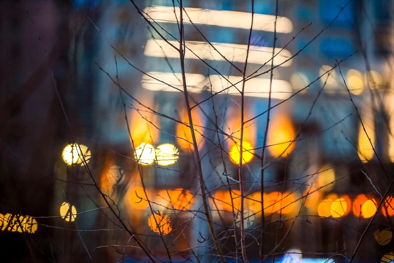 Сегодня в Новосибирске ожидается вполне весенняя погода