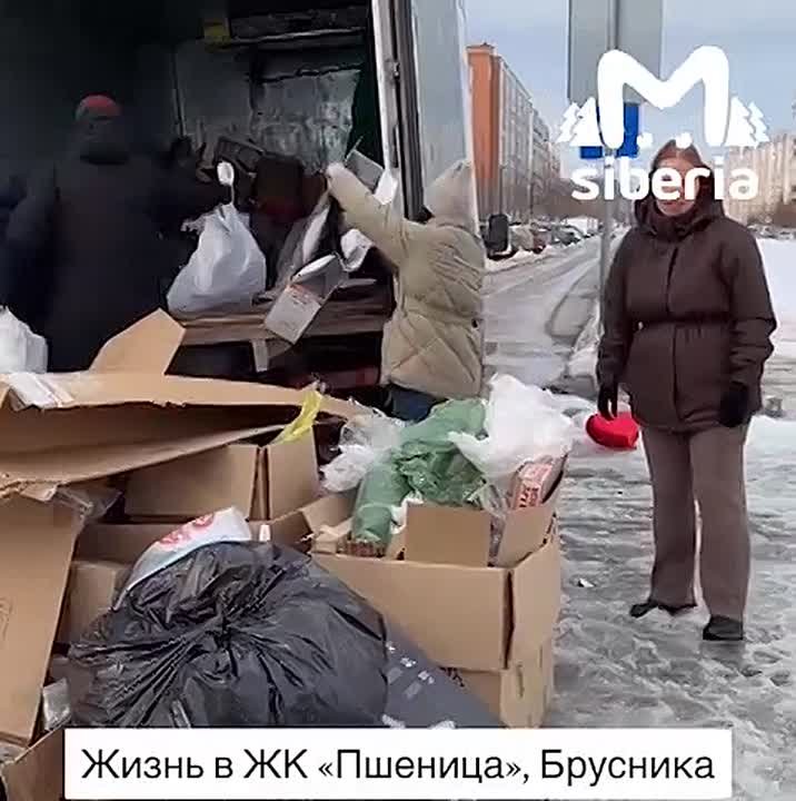 Жители Краснообска скидываются, чтобы вывезти мусор из двора многоэтажки