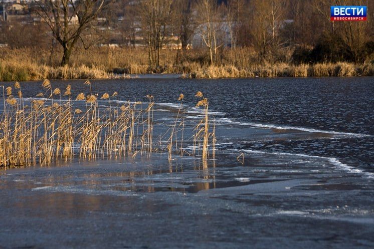 54 ��������. � ������������� ������� ������������� 54 ������ ��������� � ����������� ������ ������