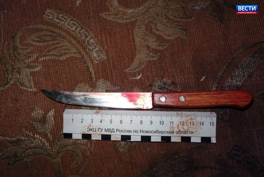 21 удар ножом. В Новосибирской области суд вынес приговор 36-летней женщине, убившей 52-летнюю знакомую в посёлке Посевная