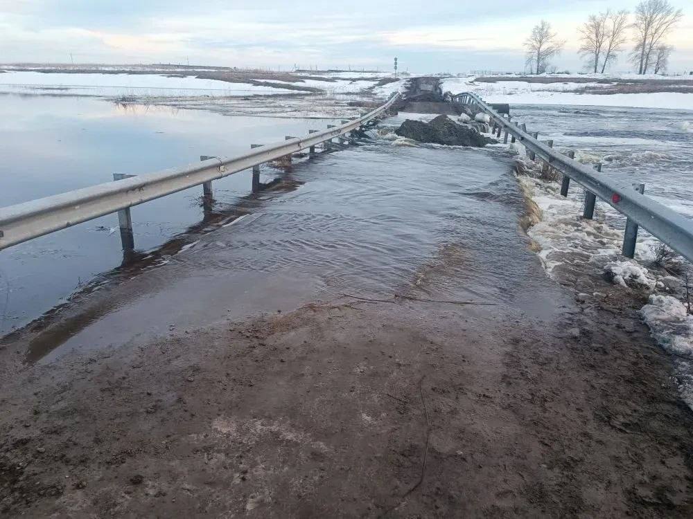 Паводок в Новосибирской области: под угрозой 13 районов, закрыты трассы