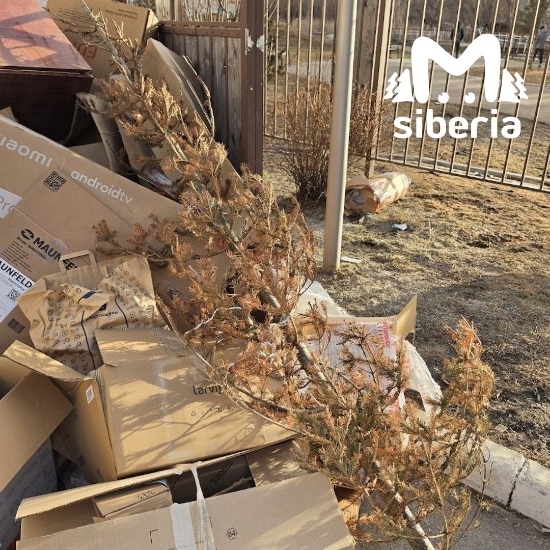 Кто-то в Новосибирске сдался