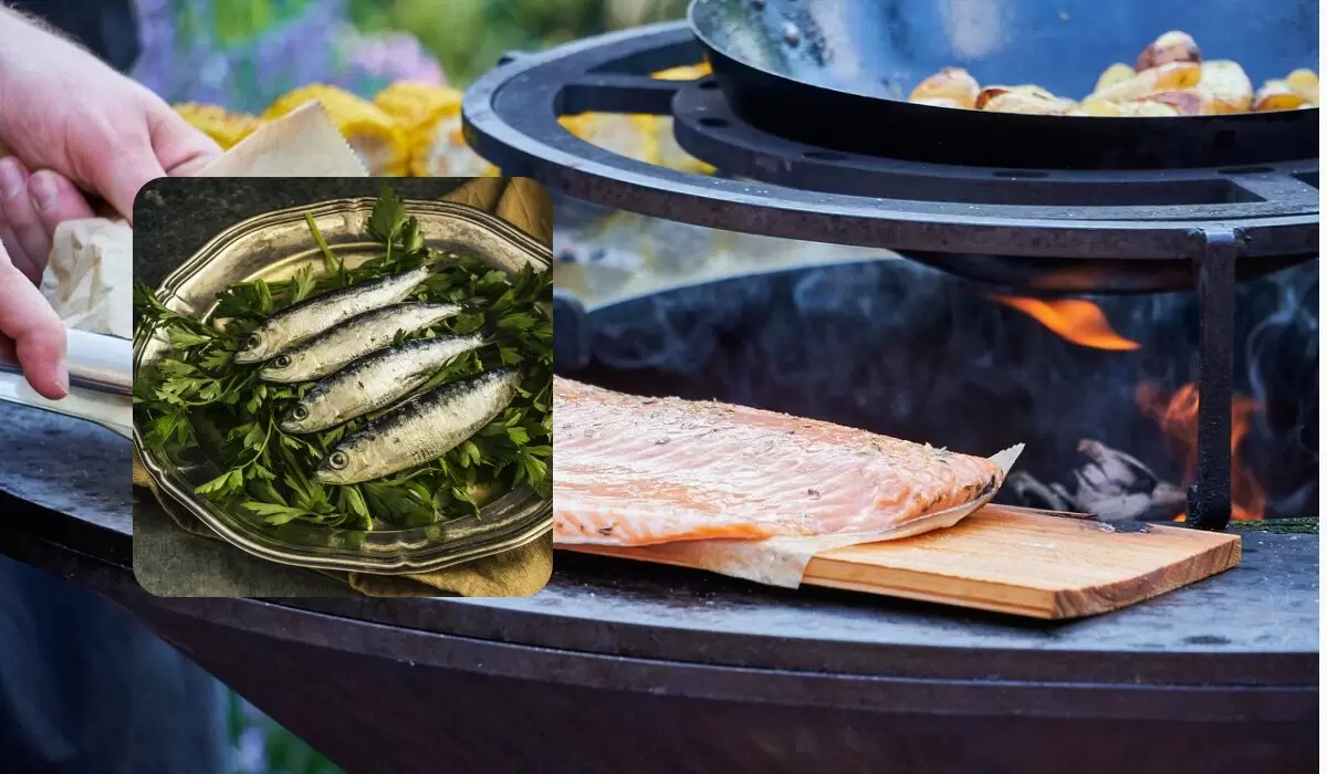 Сардины: неожиданная звезда на рыбном небосклоне