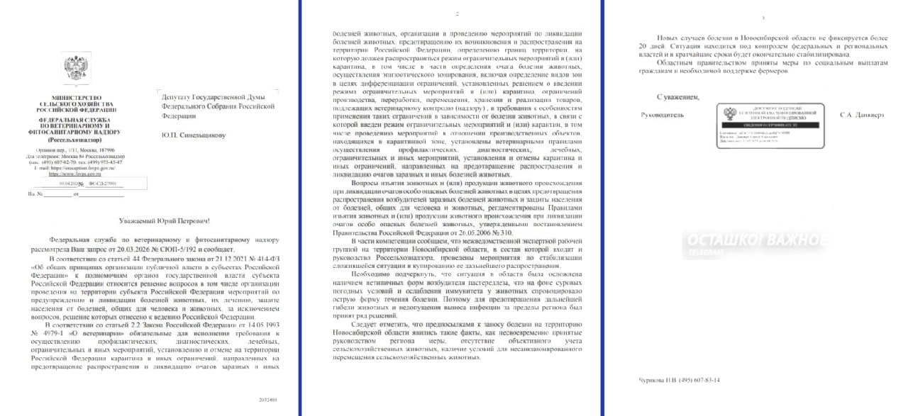 Россельхознадзор обвинил региональные власти во вспышке пастереллёза Россельхознадзор обвинил региональные власти во вспышке пастереллёза