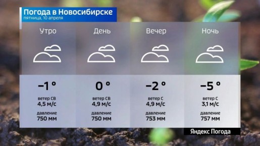 ������� ������ �� 10 ������ 2026 ���� � ������������� �������