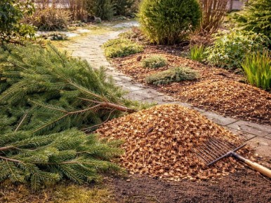 ����������� ��� � ����: ��� ������� ���� ����������� ��� ������ ������