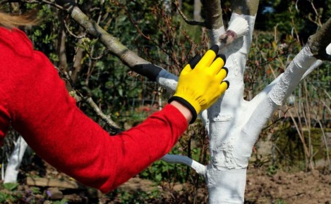 ������ �������� ������: ��� �������� ������ � ���������� �������� ������