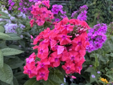 ��� ���������� � ��������� ����� �� ���������� ��������: ������ �� ������ � ��������