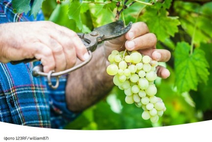 ��� ��������� ���������� ������� ��������� ������: ������ � �����