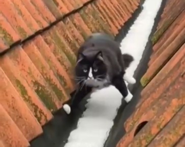 ������ ������ ���������: ��� ���������� � ������ � ��������� ������